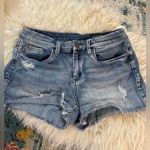 BLANKNYC The Essex Denim Shorts Distressed 27